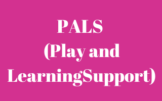 PALS (Play and Learning Support)